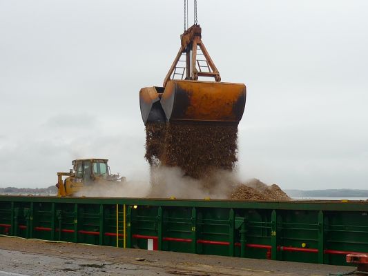 Export de bois au port de commerce de Lorient