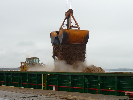 Export de bois au port de commerce de Lorient